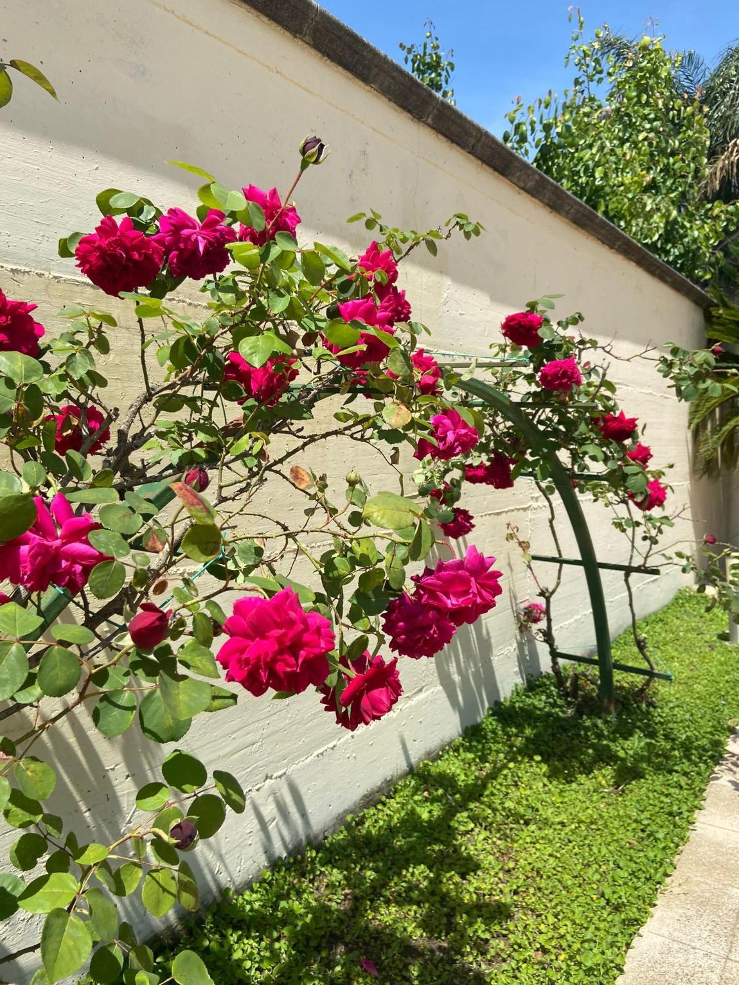 Hotel Ginevra Poggiomarino Екстер'єр фото